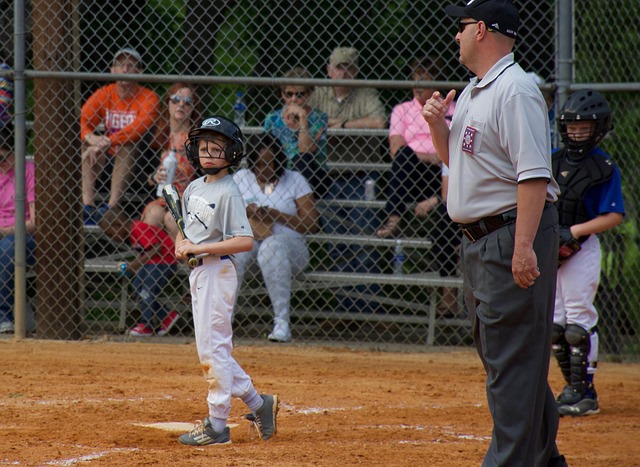 重要里程碑 重要里程碑
